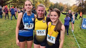 Dunleer athletes strut their stuff impressively at Leinster Championships