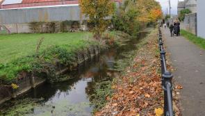 Trip Through Time: On which side of the Dundalk 'Ramparts' do you live?
