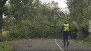 ALERT: Storm Ophelia death in Louth serves as chilling warning during Storm Éowyn