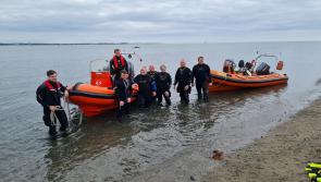 Cooley Community Alert Peninsula win Clean Coasts’ Ocean Hero Award