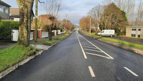 Dundalk councillor raises surface water issues on Ecco Road