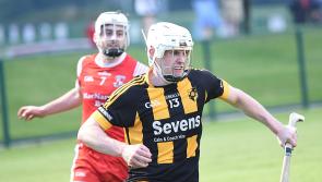 Grim Picture painted for the future of Hurling at Louth GAA Convention