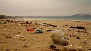 Make this #2minutebeachclean part of your New Year’s resolution