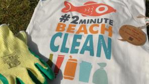 Clean Coasts asks Louth people to take up New Year pledge