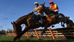 Louth owners to be offered free entry to selected horse racing meetings nationwide  