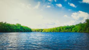 Over half a million euro in grants announced to bring benefits to communities and local waters

