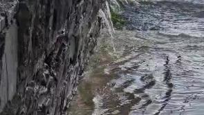 VIDEO: Substantial flooding at the Castletown River in Dundalk caused by Storm Bram