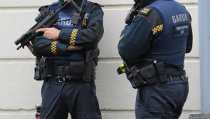 Armed Response Unit assist in arrest of man in Ardee