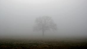 Friday's weather in Louth 