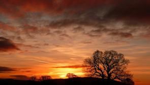 Saturday's weather forecast for Louth 