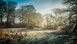 Met &Eacute;ireann predicts 10C temperature plunge after weekend heat blast