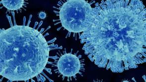 HSE warn people in Louth of rise in Norovirus cases