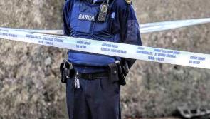 Seriously injured gunshot victim in his 70s rushed to hospital after Longford shooting