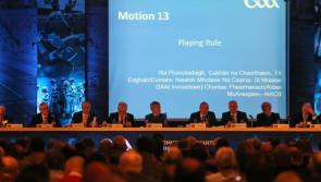 EXPLAINED: What does Proposal B mean to Louth GAA if passed at Congress?