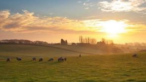 Thursday's weather forecast for Louth 