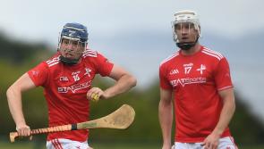 Ruthless Louth Hurlers begin championship with emphatic victory
