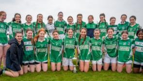 Darver hosts action packed day of football as Geraldines grab Feile glory