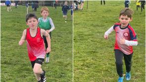 Youthful team produce the goods for Dundalk St Gerards as cross country action heats up