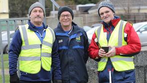 Fans out in force to see Louth defeat Westmeath - did our photographer snap you? 