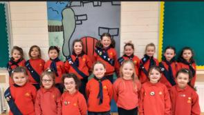 Knockbridge Girl Guides, Brownies and Ladybirds