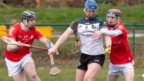 Louth hurlers comeback thwarted by last gasp goal away to Warwickshire