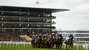Cheltenham Festival 2022 Day 1 Tips - The horses worth a bet on Tuesday