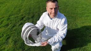 Louth's Cllr Sheridan wants no grass cutting in May