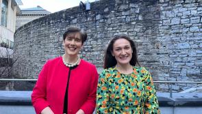 OPINION: Welcome Reform of the Senior Cycle - Louth Senator Erin McGreehan