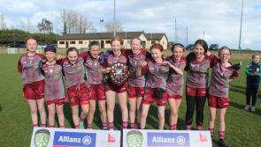 Allianz Cumann na mBunscol All County Blitz Finals return after long hiatus