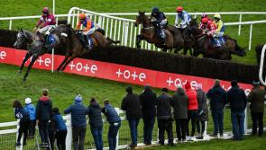 RACING: Day 1 tips for Fairyhouse’s Easter Festival 