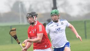 Louth hurlers defeated by Monaghan in a Darver goal fest 