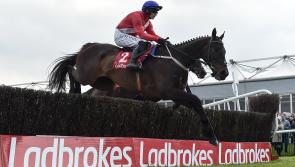 PUNCHESTOWN TIPS: All the best bets for Day 3 at Punchestown - Thursday, April 28