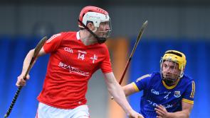  Louth Hurlers' title ambitions dealt a big blow following defeat to Longford
