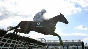 PUNCHESTOWN TIPS: The best bets for Day 4 of Punchestown 2022 - Friday, April 29