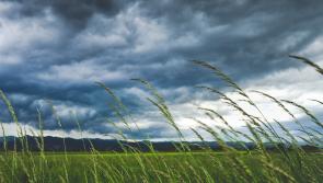Friday's weather forecast for Louth 