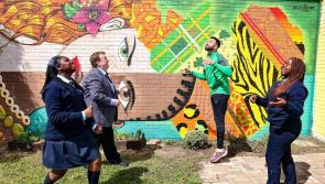 Louth County Council to host two events to celebrate Africa Day 2022