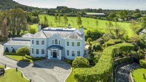 GALLERY: Stunning mansion in north Louth goes on the market