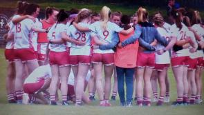 Louth into All Ireland Intermediate Quarter Final after impressive win over Down