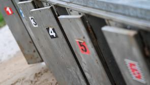 The latest greyhound racing results from Dundalk Stadium