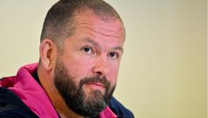  'Opportunity to go again' - Ireland coach Andy Farrell looks ahead to second Test with New Zealand