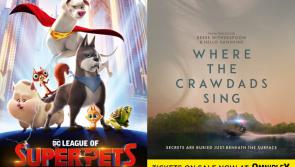 Tickets now on sale for two Summer blockbusters at Dundalk Omniplex this month - news and trailers