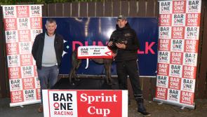 The latest greyhound results from Dundalk including the Irish Sprint Cup Semi-finals