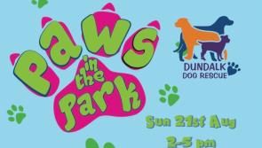 Dundalk Dog Rescue's annual Paws in the Park takes place tomorrow