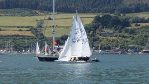 North Louth: Moneley Oyster Pearl Regatta held in Carlingford