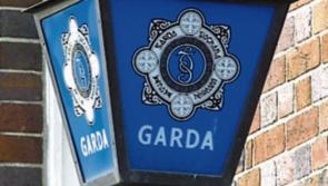 Man in his 20s in critical condition as Gardaí appeal for witnesses following serious assault