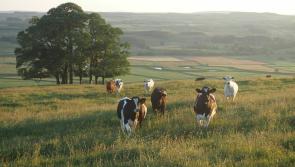 Farmers across Ireland move from the field to the front line of sustainable dairy