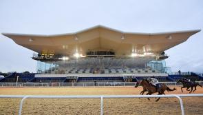 Tipperary meeting to decide if there&rsquo;s to be a second all-weather track