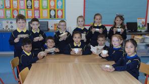 Free School Lunch Programme begins at CBS Primary in Dundalk