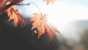 WEEKEND WEATHER: Mainly dry and settled for the weekend turning chilly at times