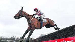 Joe Carroll: Meath trainer doing the business for Louth owners